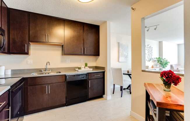 Fully Equipped Kitchens at ELEVATE Apartment Homes, Minneapolis, 55403