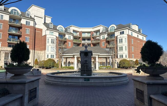 1 bed, 1 bath, $1,575, Unit APARTMENT 710