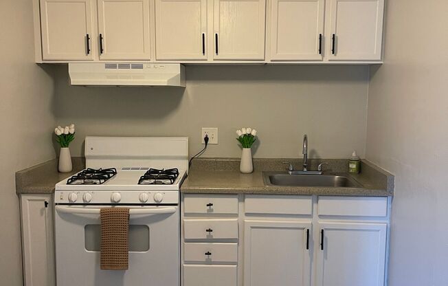 Studio, 1 bath, 366 sqft, $1,225