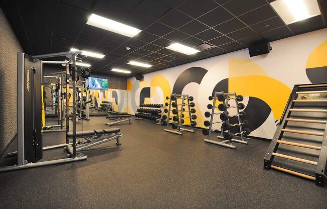 A gym with a variety of equipment including a squat rack, bench press, and a leg press machine.