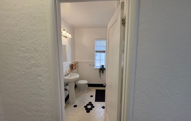 Studio, 1 bath, 620 sqft, $1,399, Unit 504