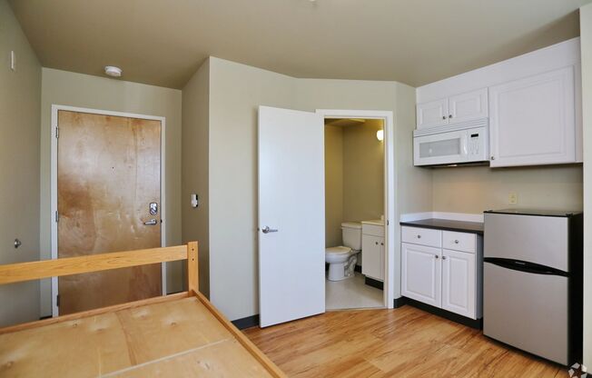 Studio, 1 bath, 175 sqft, $1,199, Unit Unit 507
