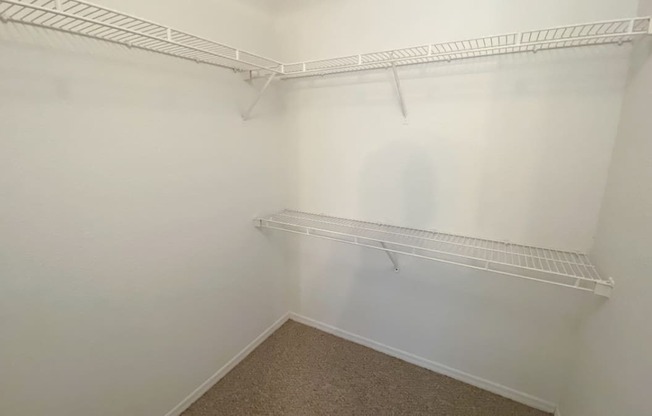 Walk-in closet with carpet flooring