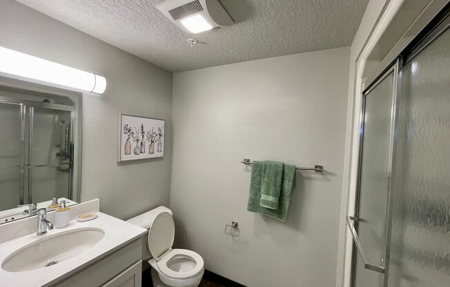 Studio, 1 bath, 335 sqft, $1,095, Unit 214 (Furnished Unit)