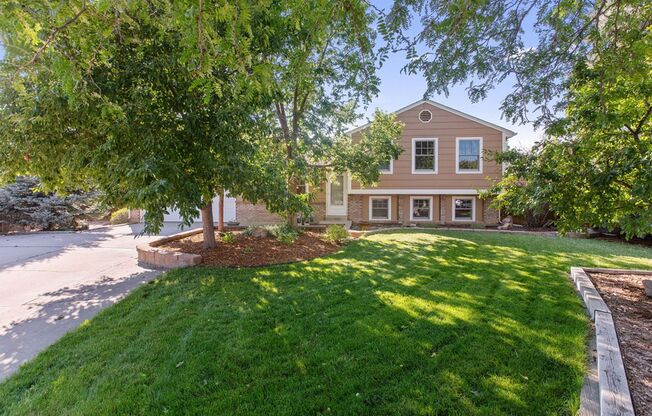 4 bed, 2 bath, large yard available in Woodmere, Loveland