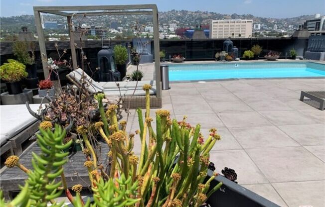 2 beds, 2 baths, 1,300 sqft, $4,085, Unit 308