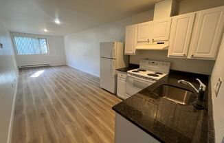 Studio, 1 bath, 420 sqft, $995, Unit 1-A