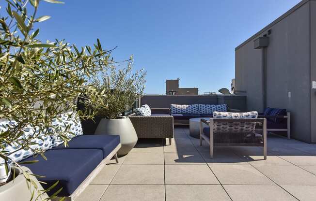 a terrace with blue couches and plants and a blue sky