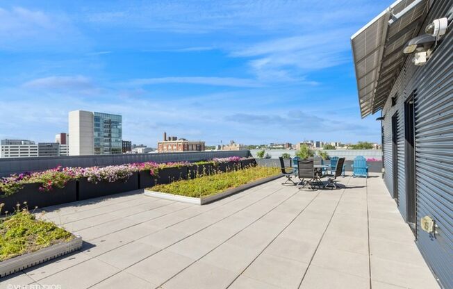 Studio, 1 bath, 266 sqft, $1,130, Unit #202