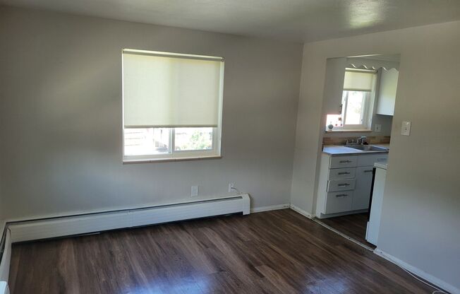 1 bed, 1 bath, 475 sqft, $1,250