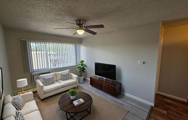1 bed, 1 bath, 545 sqft, $749, Unit Unit 306