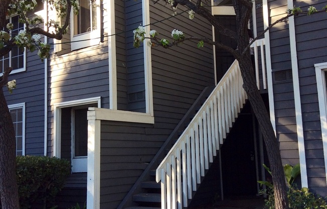 GORGEOUS 2 BEDROOM 1 BATH CONDO