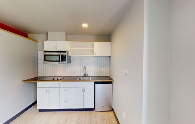Studio, 1 bath, 252 sqft, $1,175, Unit 401