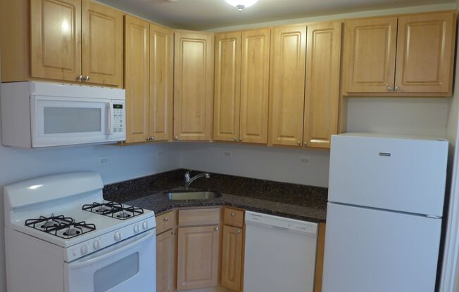 Studio, 1 bath, 300 sqft, $1,395, Unit 306