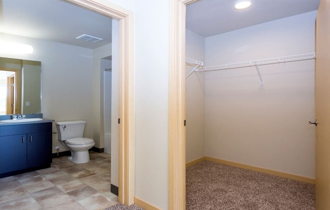 Master Bathroom and Walk-in Closet