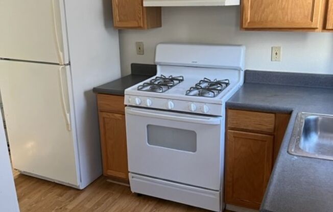 1 bed, 1 bath, $1,500