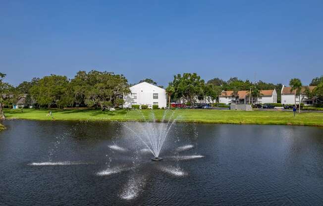 a fountain in the middle of a pond