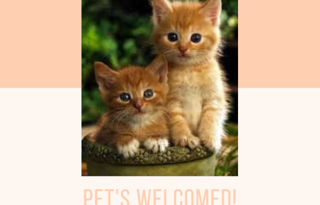 2 beds, 1 bath, 760 sqft, $1,625, Unit 22