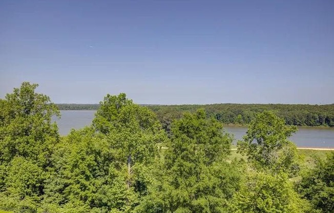 A serene landscape with a lake surrounded by lush green trees.