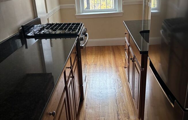 Studio, 1 bath, 421 sqft, $1,900, Unit 56