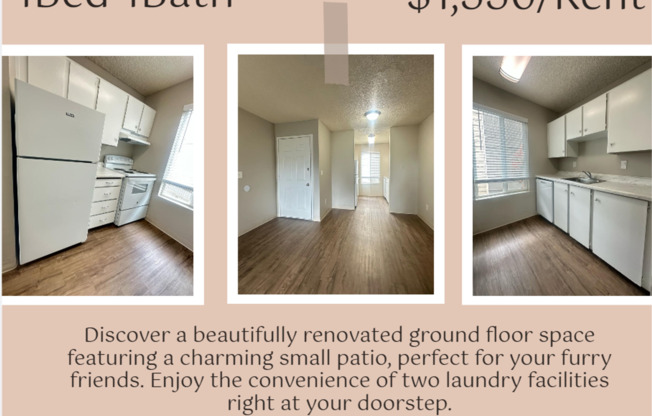 2 beds, 1 bath, 760 sqft, $1,395, Unit 41