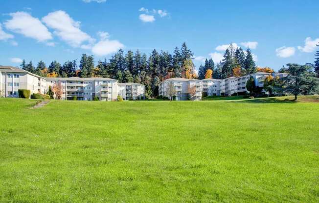 A wide-open green lawn here at Andorra stretching across the community grounds, with well-kept grass leading to multiple apartment buildings in the distance, surrounded by mature trees and seasonal foliage under a bright blue sky, creating a spacious outdoor setting for relaxation, outdoor activities, and enjoying the natural surroundings.