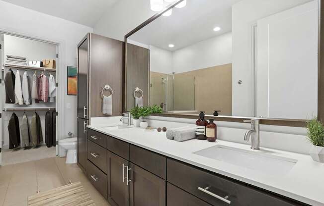 A bathroom with a sink, mirror, and a large closet.