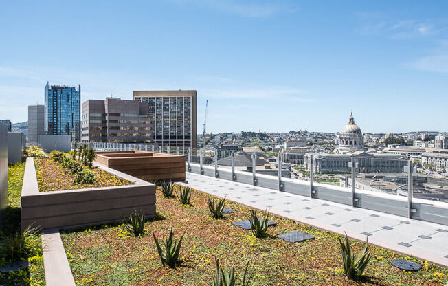 a green roof on top of a building in san francisco