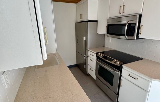 1 bed, 1 bath, $3,000, Unit Unit 101