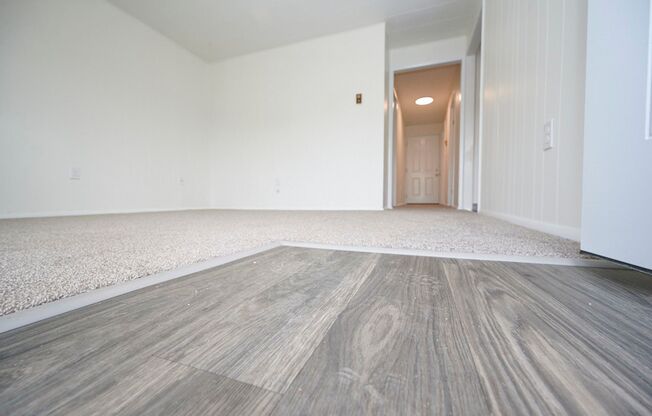 Come Check Out These Newly Renovated 1 Bedroom Apartments Only $795 A Month!