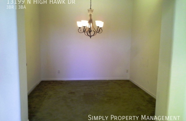 13199 N High Hawk Drive