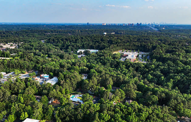 A bird's eye view of a Veridian surrounded by dense green trees.
