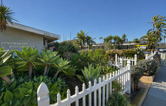 Sand and Sea Apartments