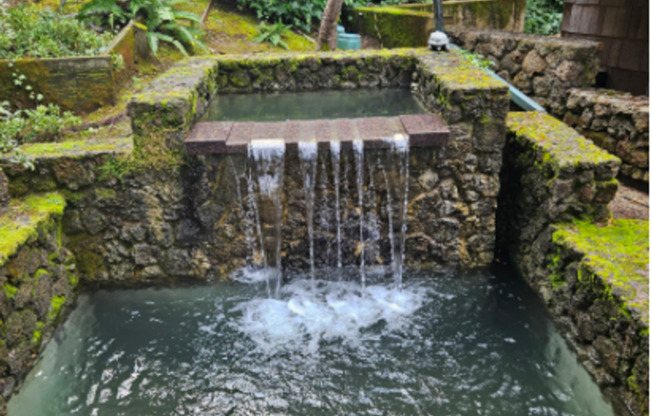 Stunning Architectural Masterpiece! 5BR+Yoga Studio/4.5BA! Ross! Views! Pool! Pet! Waterfalls! PROGRESSIVE