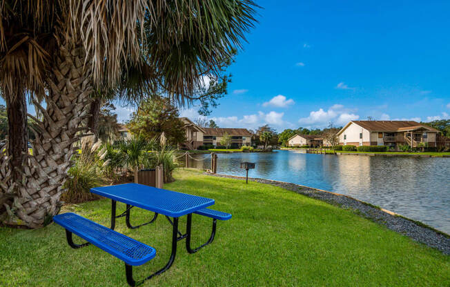 Lakeside Picnic Area at Sanford Landing Apartments, Sanford, Florida