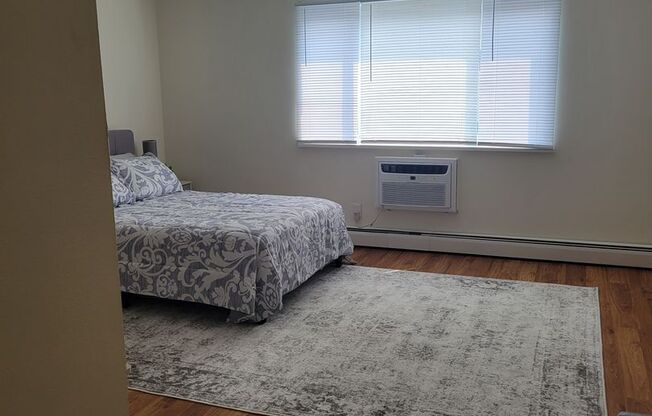 Studio, 1 bath, $980, Unit 203