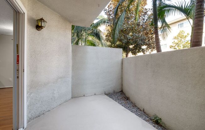 a patio with a wall and palm trees