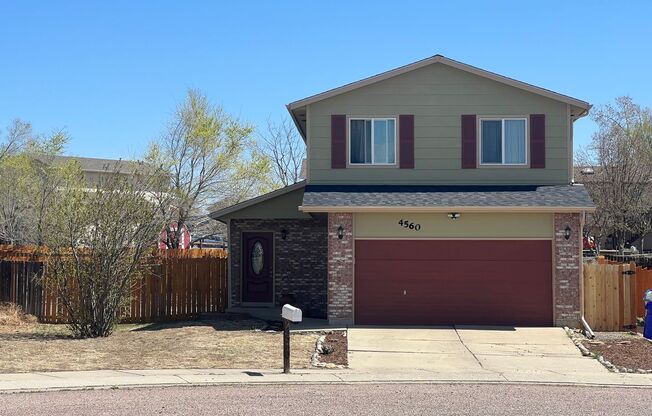 Close to Ft. Carson! 3 bed, 2 bath, 2 car on oversize, fenced lot!