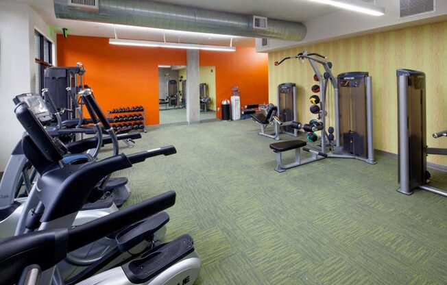 The wilmore gym with workout equipment