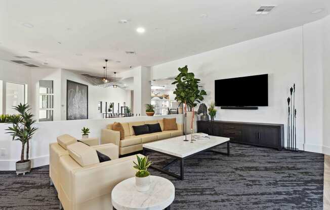 a living room with couches and a coffee table