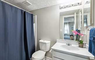 a bathroom with a blue shower curtain and a toilet and sink