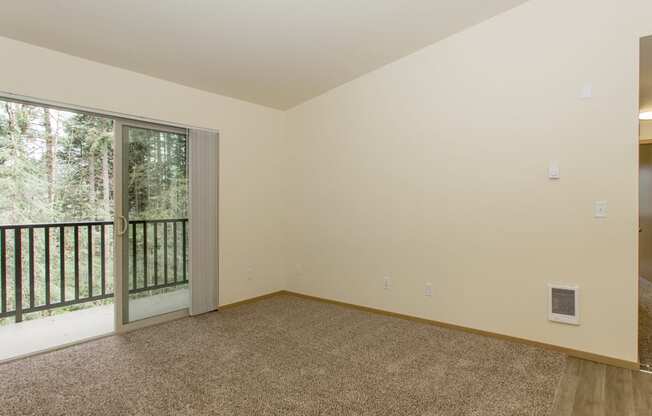 Living Room and Patio