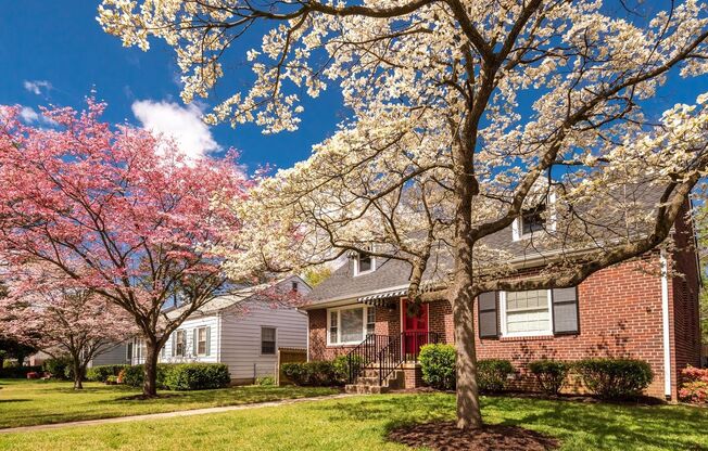 Gorgeous, Quaint 4 Bedroom Cape in Sauer's Gardens Available August 20th!