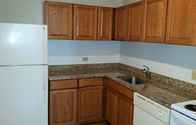 1 bed, 1 bath, 825 sqft, $1,950, Unit 509