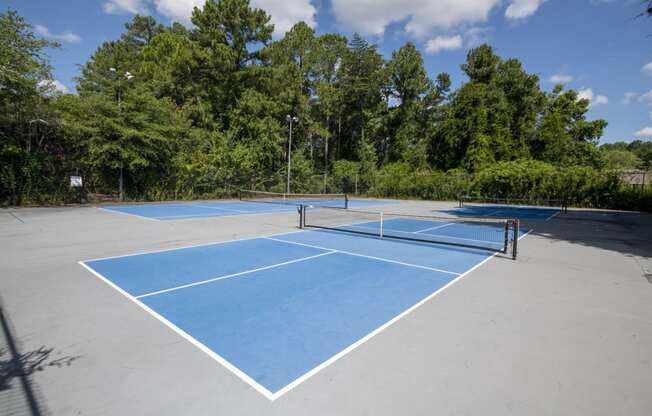 a tennis court on a blue court with trees in the background