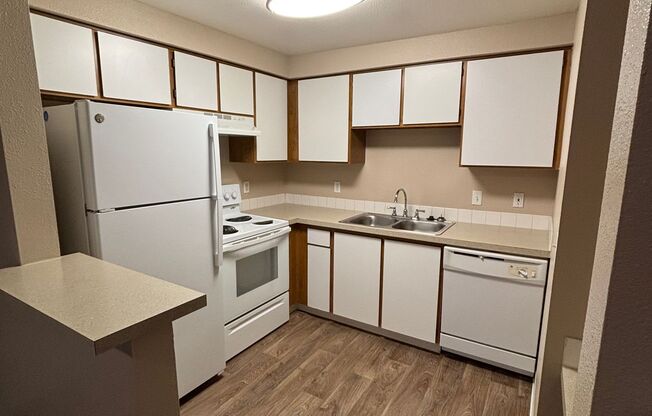 1 bed, 1 bath, 532 sqft, $1,400, Unit 238