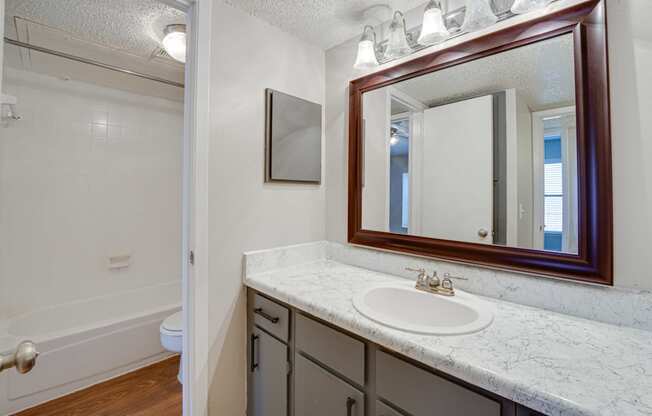 a bathroom with a sink and a mirror and a toilet