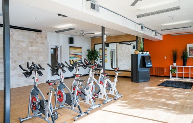 a row of exercise bikes in a fitness room