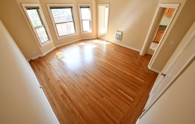 291 Lester