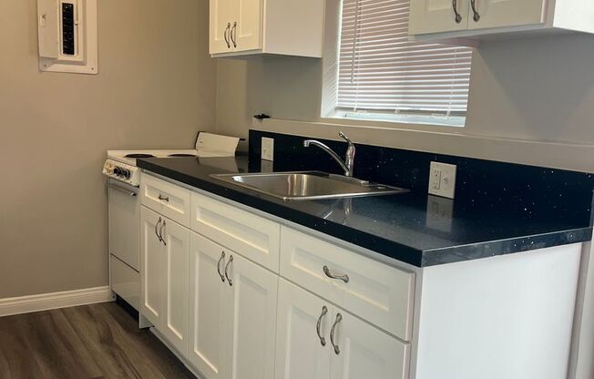 1 bed, 1 bath, 541 sqft, $1,595, Unit 1900-203